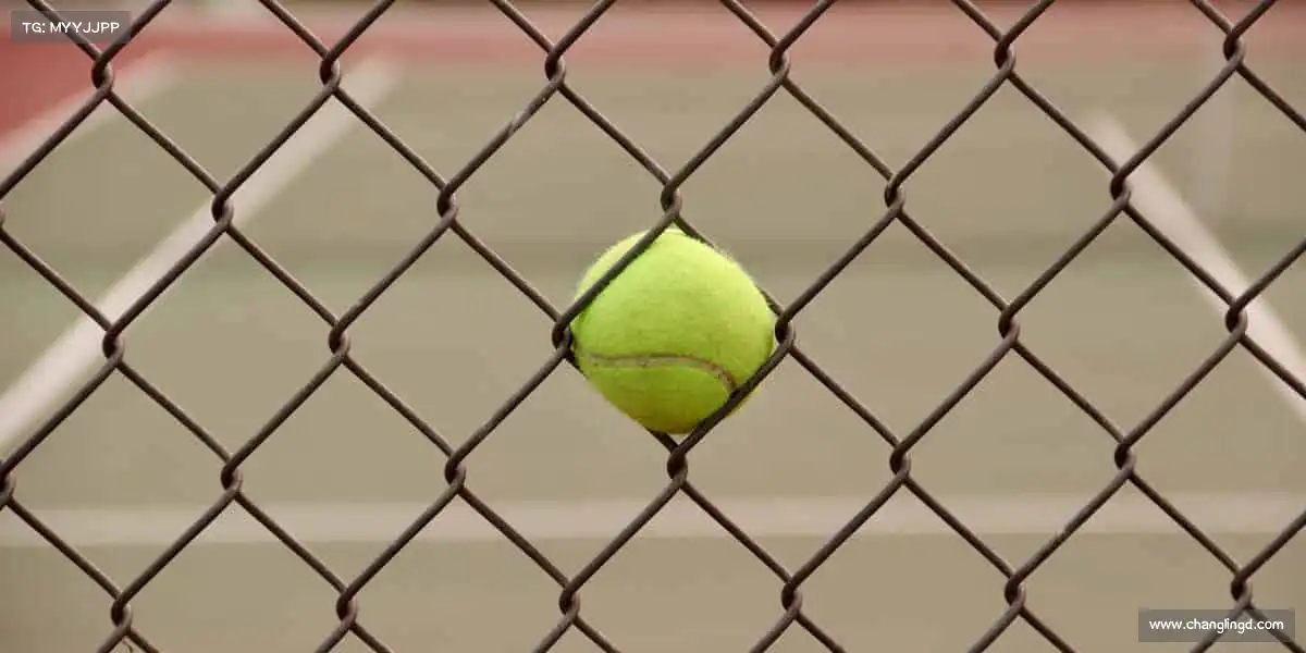 行业领先的理由